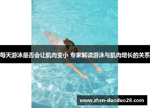 每天游泳是否会让肌肉变小 专家解读游泳与肌肉增长的关系