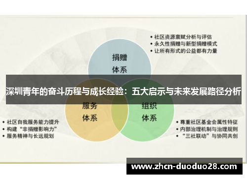 深圳青年的奋斗历程与成长经验：五大启示与未来发展路径分析