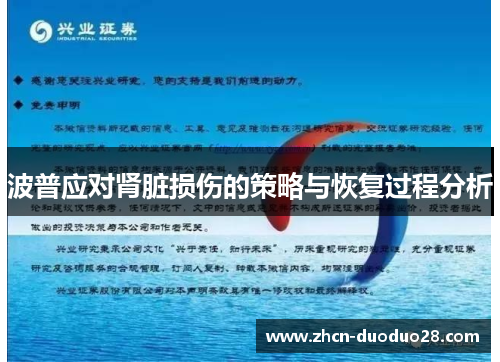 波普应对肾脏损伤的策略与恢复过程分析