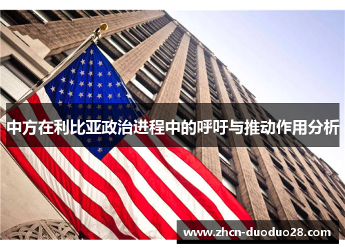 中方在利比亚政治进程中的呼吁与推动作用分析