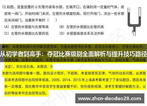 从初学者到高手：夺冠比赛级别全面解析与提升技巧路径
